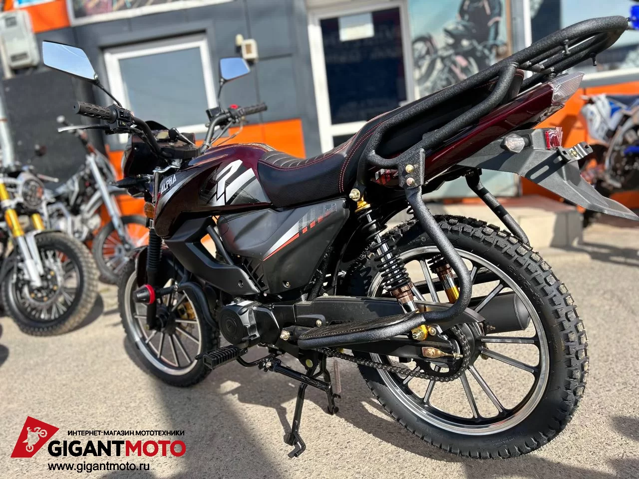 Мопед Alpha Champ RS 12 заказать и купить в интернет-магазине Gigantmoto по  низким ценам. Доставка по городу Чебоксары, регионам и странам